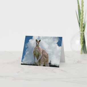 Tarjeta Kangaroo Notecard
