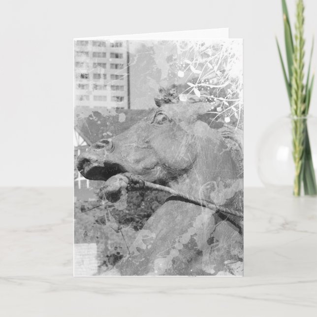 Tarjeta Kansas City Plaza caballo negro y blanco (Anverso)