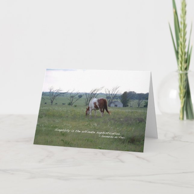 Tarjeta Kansas Paint Horse (Anverso)