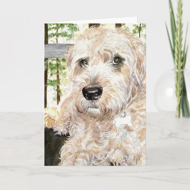 Tarjeta Katie el Wheaton Terrier (Anverso)