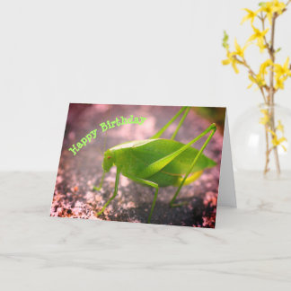 Tarjeta Katydid Grasshopper Nature Birday