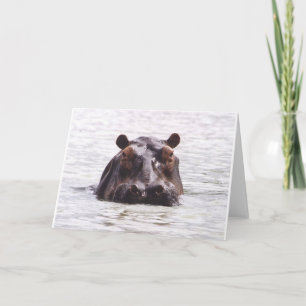 Tarjeta Keeboko curioso (hipopótamo)