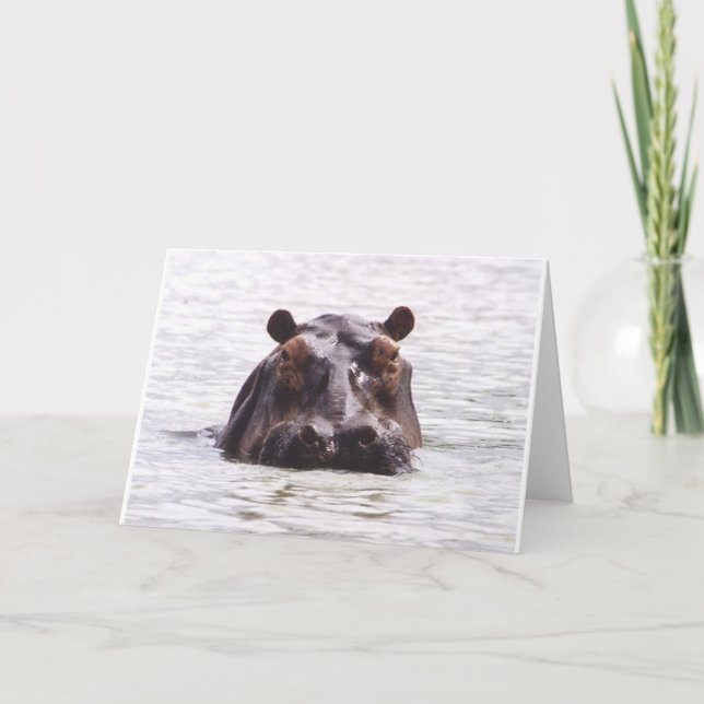 Tarjeta Keeboko curioso (hipopótamo) (Anverso)