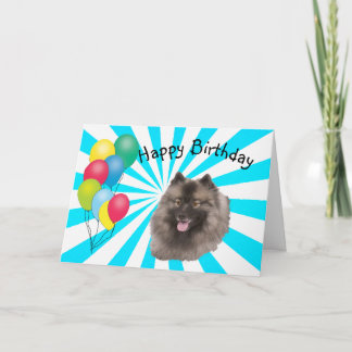 Tarjeta Keeshond en el feliz cumpleaños blanco de