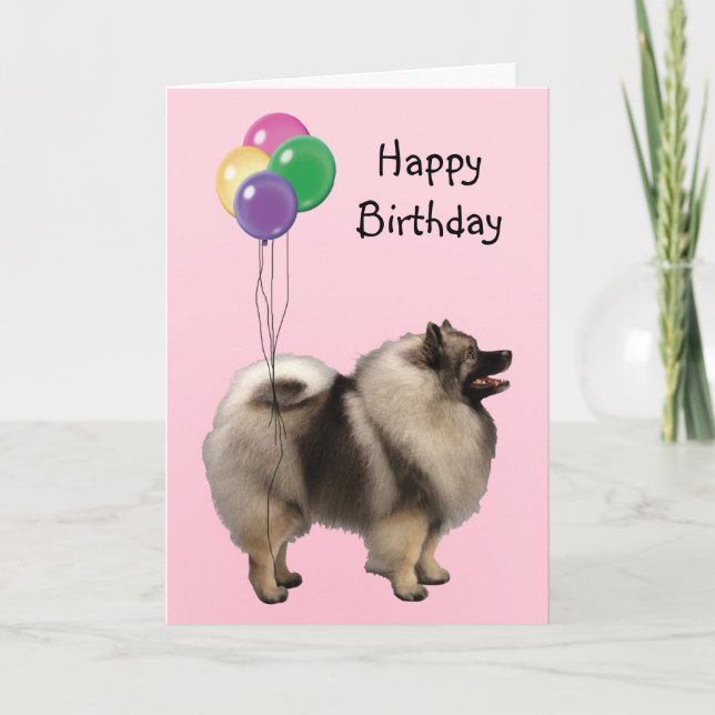 Tarjeta Keeshond, globos del cumpleaños (Anverso)