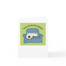 Keeshond "Raza no deportiva"