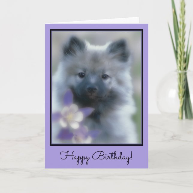 Tarjeta Keeshond y Columbine - Fotografía de perro (Anverso)