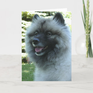 Tarjeta Keeshound