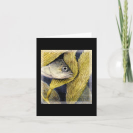 Tarjeta Kelp Hangout