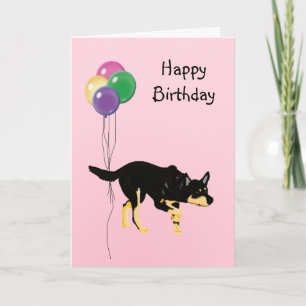 Tarjeta Kelpie australiano, globos de cumpleaños