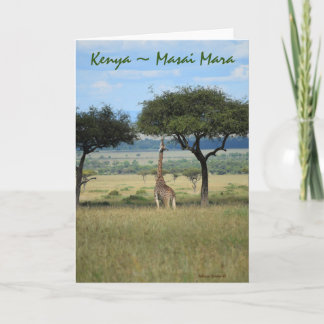 Tarjeta Kenia Masai Mara Giraffe