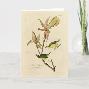 Tarjeta Kentucky Warbler de Aves de América de Audubon