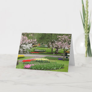 Tarjeta Keukenhof Gardens, Países Bajos
