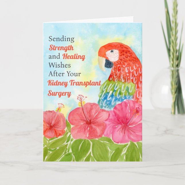 Tarjeta Kidney Transplant Healing Scarlet Macaws, Hibiscus (Anverso)