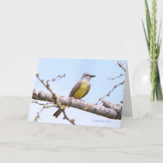 Tarjeta Kingbitrd-1-05 tropical