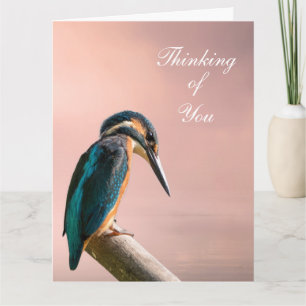 Tarjeta Kingfisher