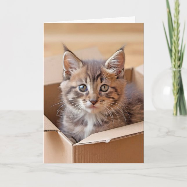 Tarjeta Kitten de cumpleaños en una caja de cartón (Anverso)