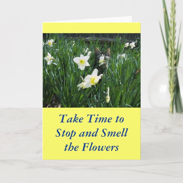 TARJETA KITTEN EN FLORES (Anverso)