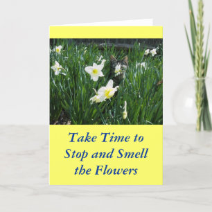 TARJETA KITTEN EN FLORES