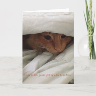 Tarjeta kitten get well card