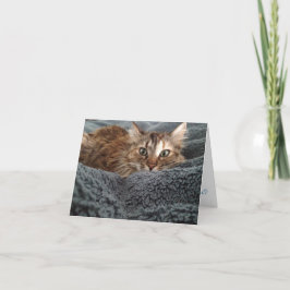 Tarjeta kitten notecard #1