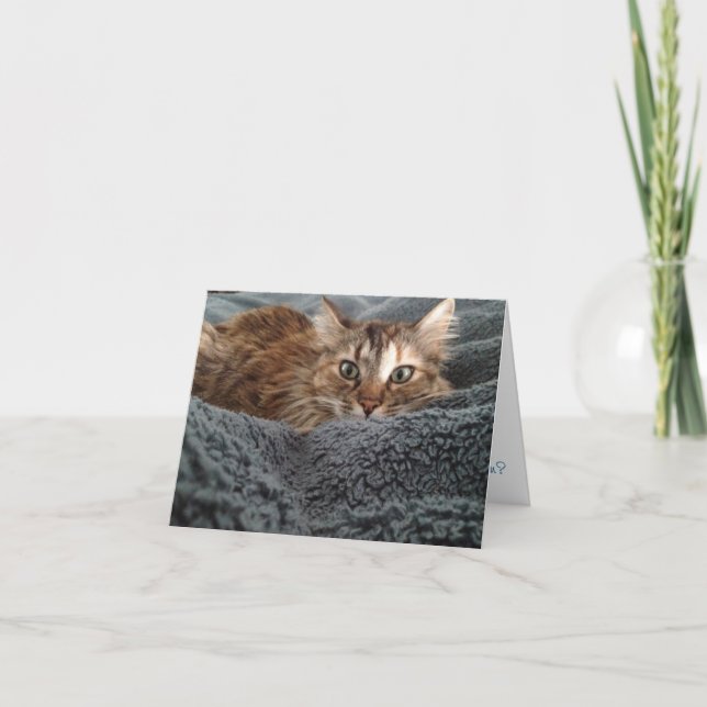 Tarjeta kitten notecard #1 (Anverso)