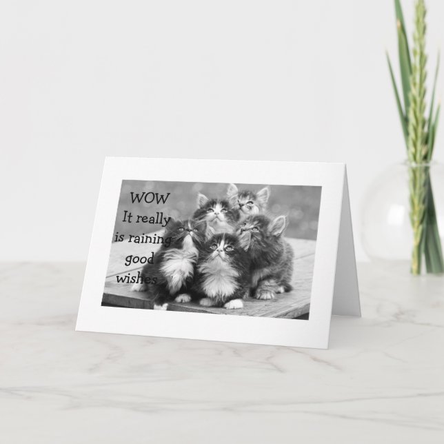 TARJETA KITTENS TODOS ESTÁN DE ACUERDO EN QUE DEBERÍAS TEN (Anverso)