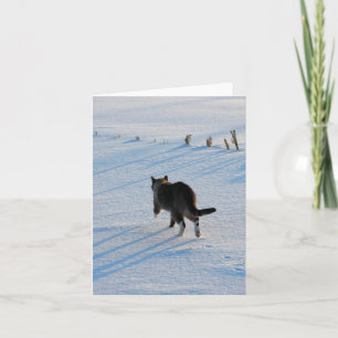 Tarjeta Kitty Caminando en Snowy Corn Field en todas las s