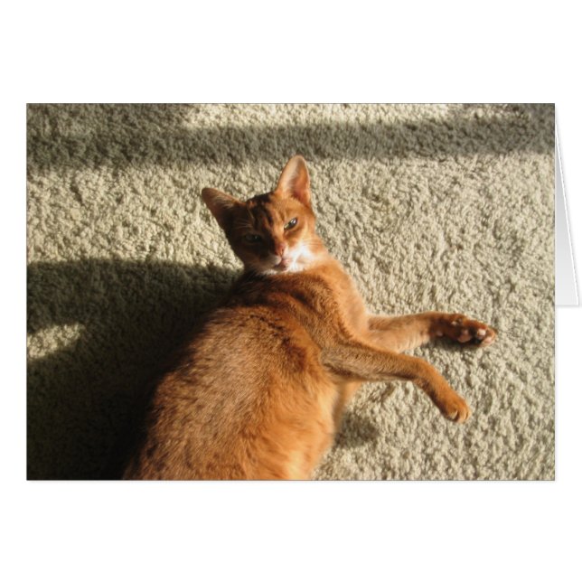 Tarjeta Kitty de Lounging (Anverso (Horizontal))