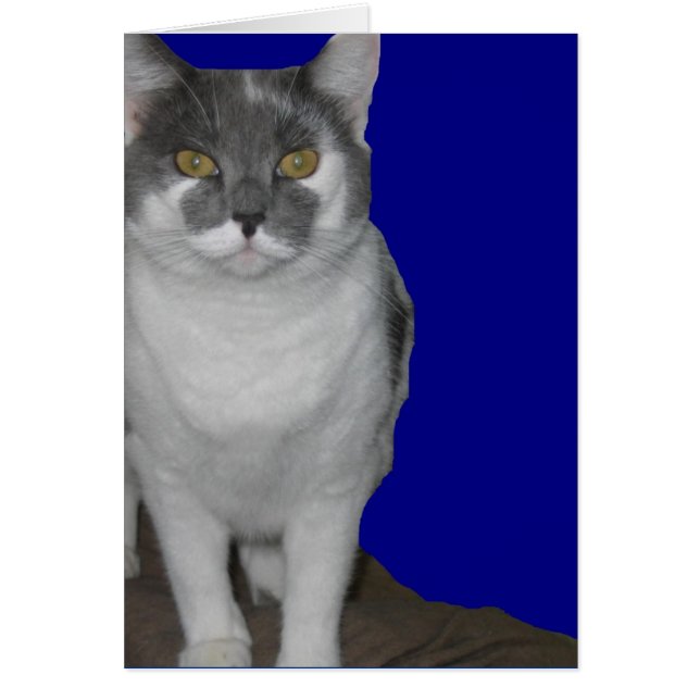 ~ Tarjeta Kitty en blanco ~ (Frente)