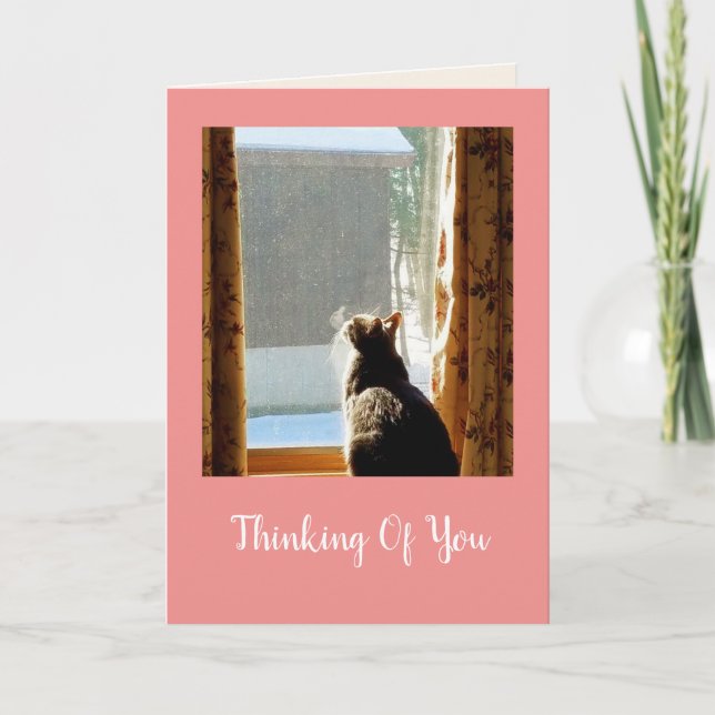 Tarjeta Kitty En La Ventana Entra Bien (Anverso)