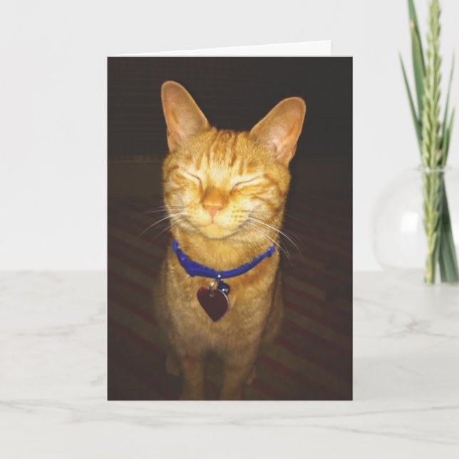 Tarjeta Kitty hace un cumpleaños deseable (Anverso)