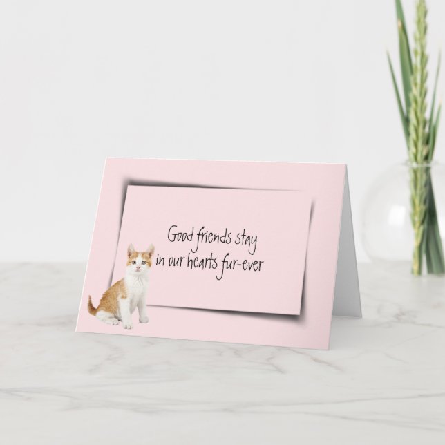 Tarjeta Kitty Mascota pierde simpatía por el rosa (Anverso)