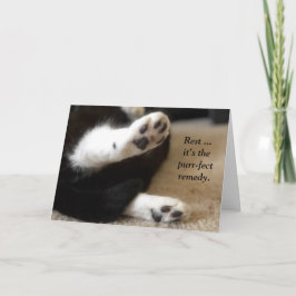 Tarjeta Kitty Paws se ponen bien en la carta