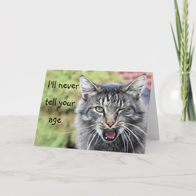 Tarjeta Kitty por el cumpleaños de la colina (Anverso)