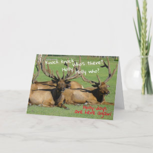 Tarjeta Knock Knock Holly-days -
