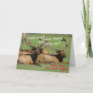 Tarjeta Knock Knock Holly-days -