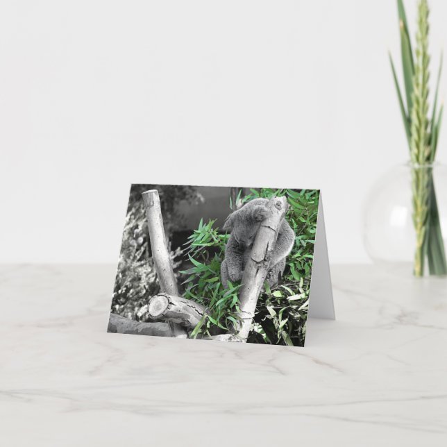 Tarjeta Koala (Anverso)