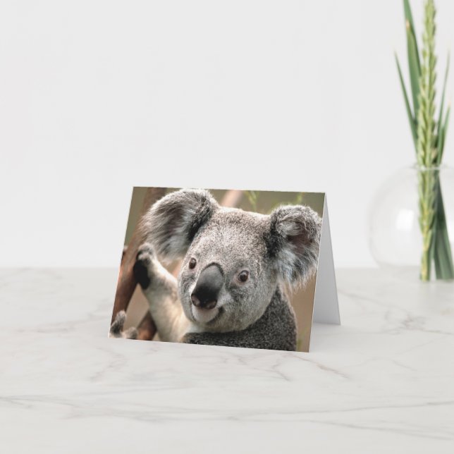 Tarjeta Koala (Anverso)