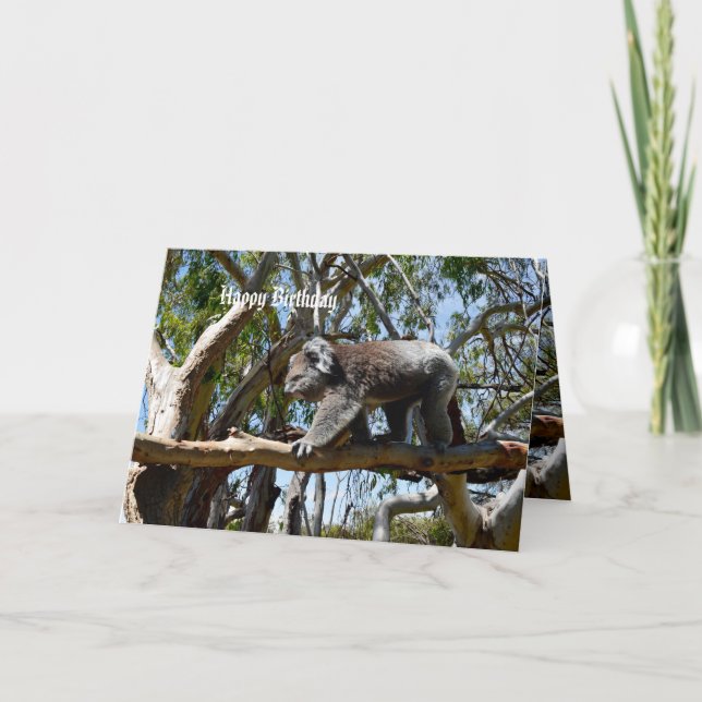 Tarjeta Koala Bear Tight Rope Walker, cumpleaños (Anverso)