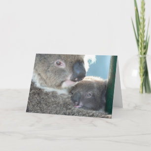 Tarjeta Koala Bears