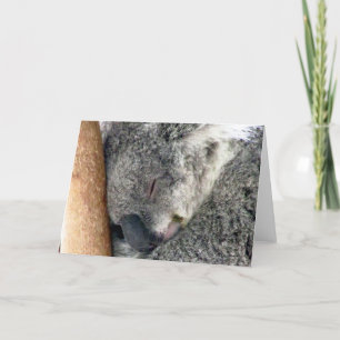 Tarjeta koala duerme