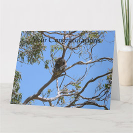 Tarjeta Koala Nap