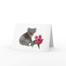 Koala y Eucalyptus