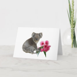 Tarjeta Koala y Eucalyptus