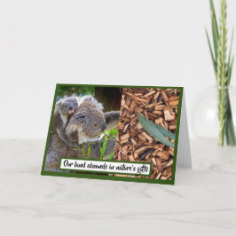 Tarjeta Koala y Eucalyptus