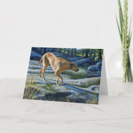 Tarjeta "Kona en el Camino del Granito"