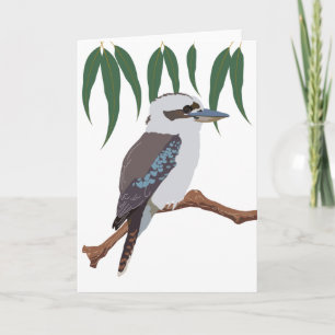 Tarjeta Kookaburra