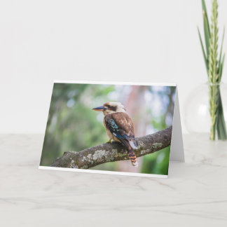 Tarjeta Kookaburra sobre la rama