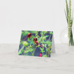 Tarjeta La abeja con la flor roja